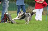 FLY BALL 011